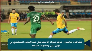 مشاهدة مباشرة.. موعد مباراة الإسماعيلي ضد الاتحاد السكندري في دوري نايل والقنوات الناقلة